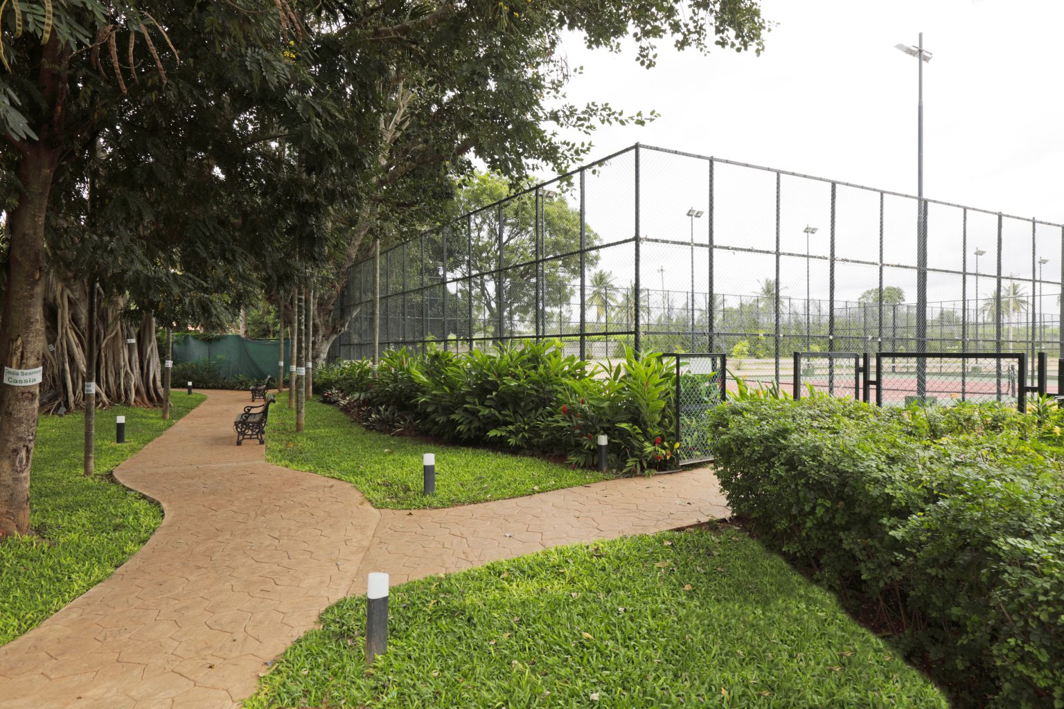 Crescent Park Stadium & Sports Facility INI Design Studio